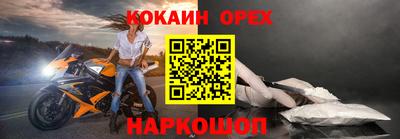 шишки Камышлов