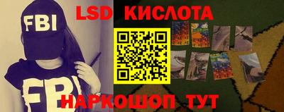 шишки Камышлов