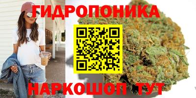 ALPHA PVP Кандалакша
