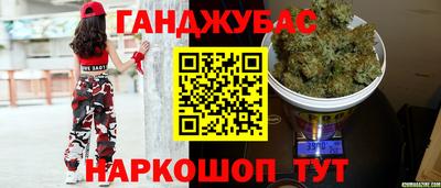 шишки Камышлов