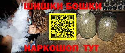 шишки Камышлов