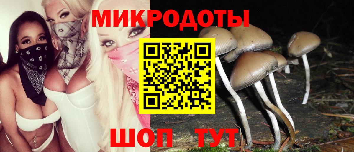 Галлюциногенные грибы MAGIC MUSHROOMS Кулебаки